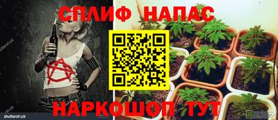 стафф Ставрополь