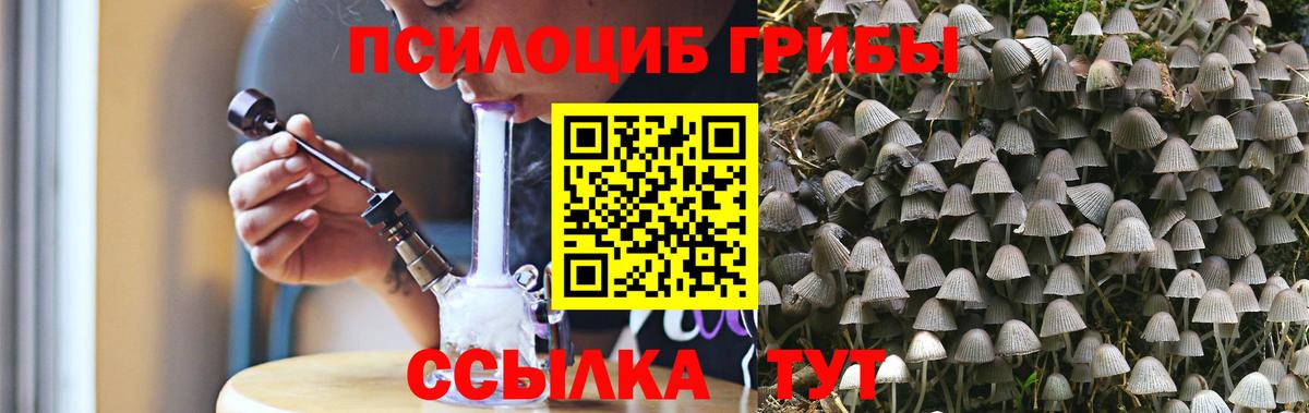 Галлюциногенные грибы Psilocybine cubensis Муравленко